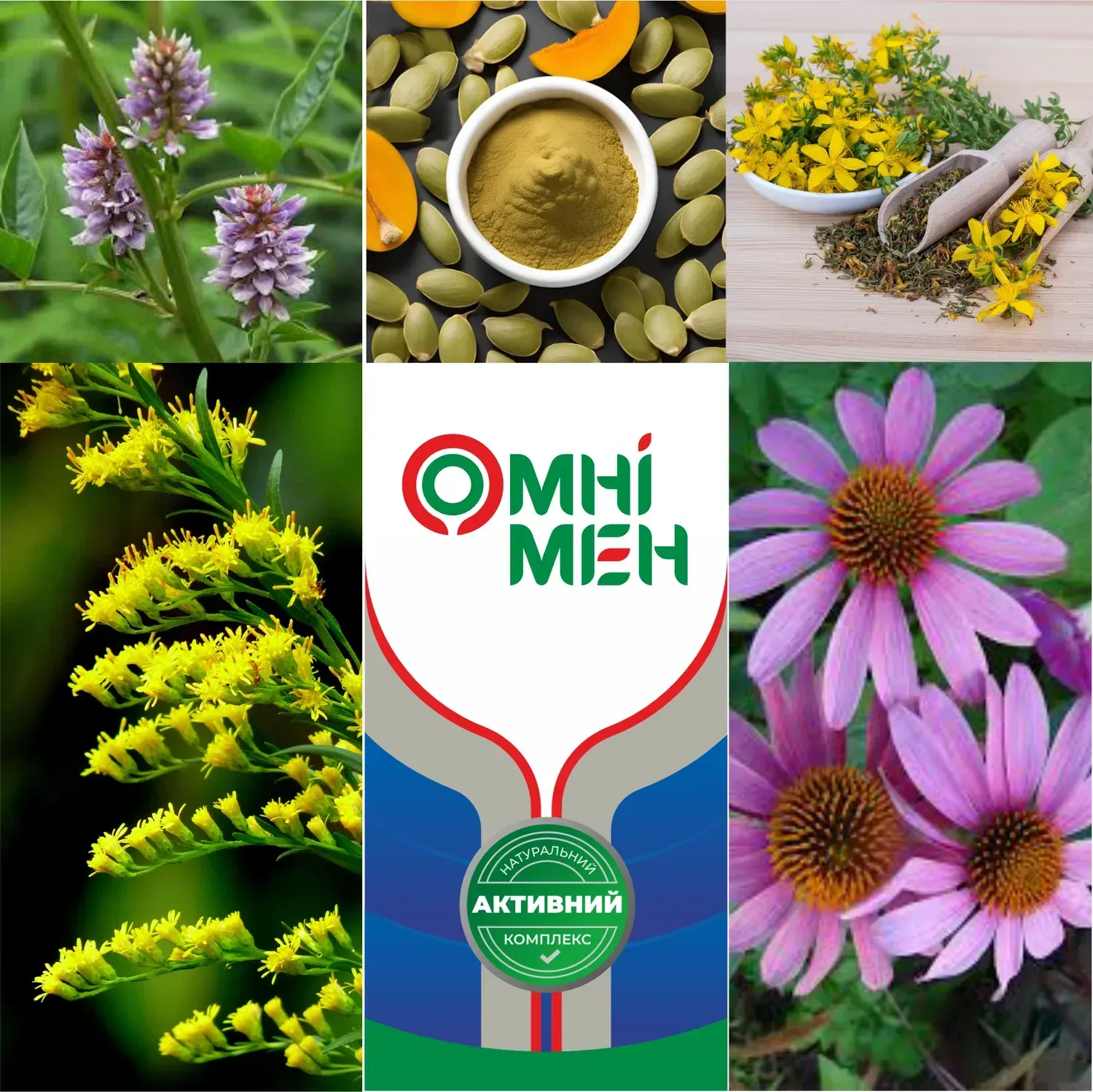 Рослинні екстракти ОМНІМЕН — звіробій, золотарник, солодка, ехінацея, гарбуз